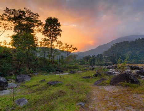 Jaldapara National Park and Chilapata Forest