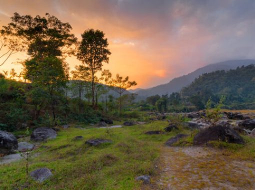 Dooars – A Land of Natural Wonders