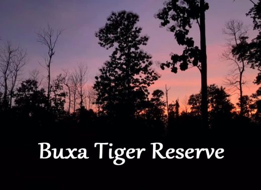 Buxa Tiger Reserve