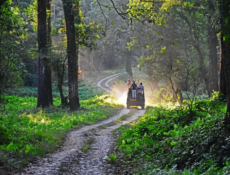 Dooars – A Land of Natural Wonders