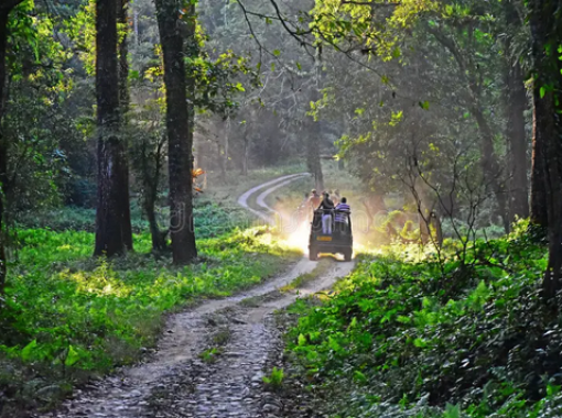 Jaldapara National Park and Chilapata Forest