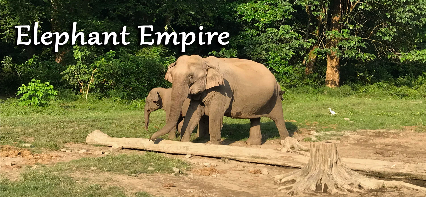 Elephant Empire