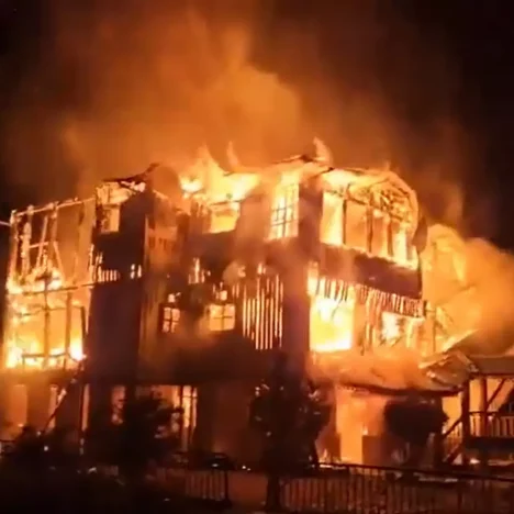 Wildlife in Jaldapara National Park: A Haven of Biodiversity